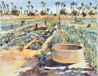 El jardín de las mujeres, Senegal, África Occidental, 1997 de Tilly Willis
